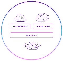 Eco System